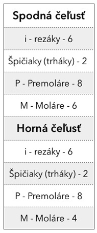 tabulka-pocet-zubov