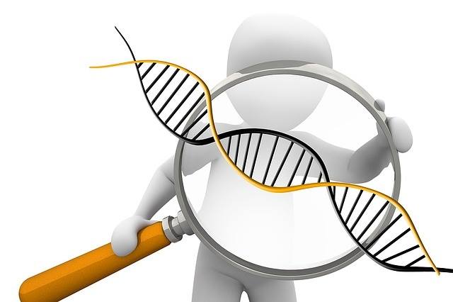 článok DNA profil