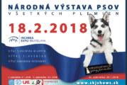Národná výstava