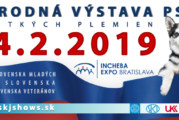 Národná výstava psov 2019