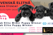 Slovenská Elitná výstava šteniat