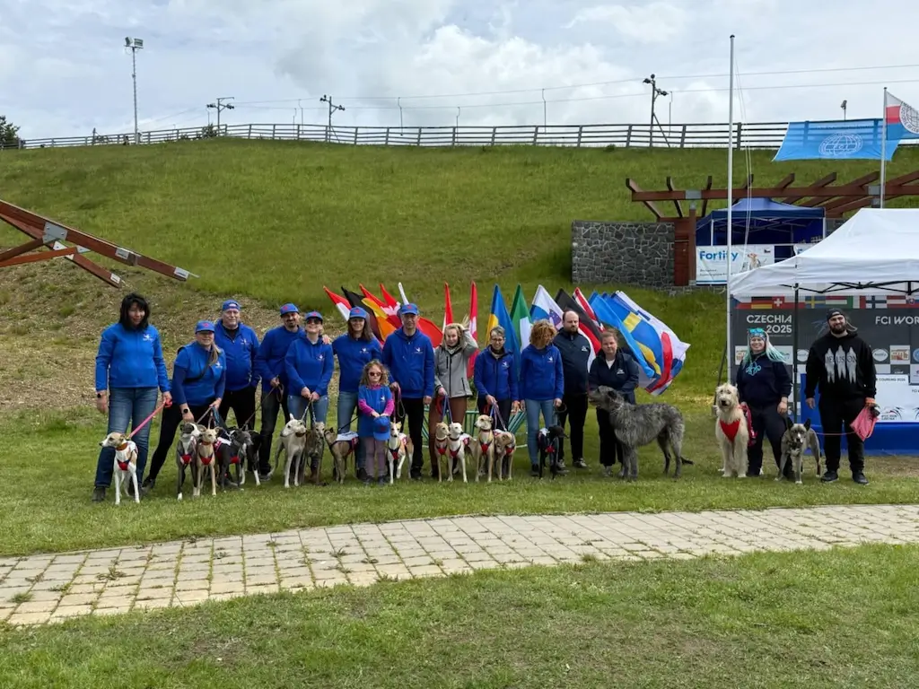 Slovenský tím whippetov, deerhound a írsky vlkodav