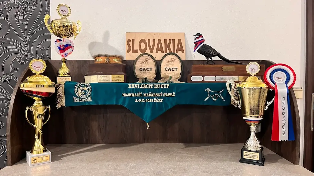 XXVI CACIT MAGYAR VIZSLA EUROPEAN CUP 2025 SLOVAKIA